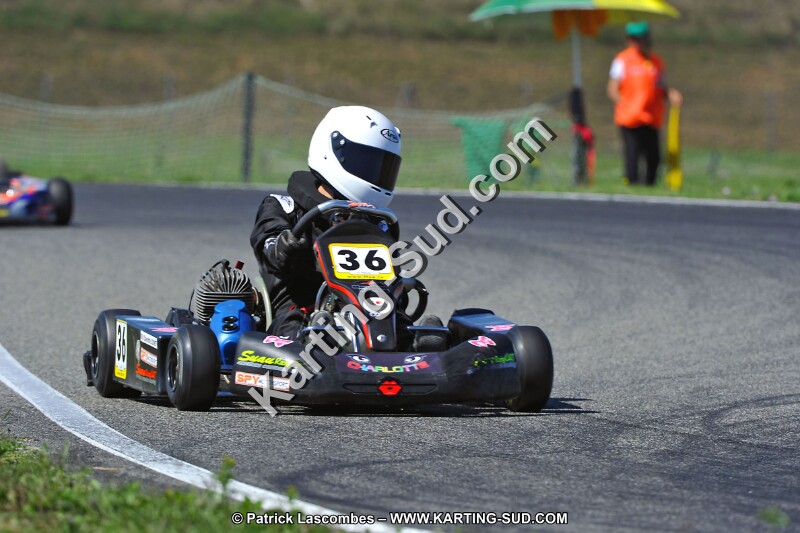DSC_ (1568).jpg